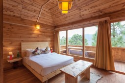 best resort in shoghi | best resort in shimla