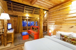 best resort around shoghi | luxurious resort and hotel around shoghi | resort in shoghi resort around shimla best resort in shoghi best resort around shoghi luxurious resort and hotel around shoghi best resort for honeymoon in shimla