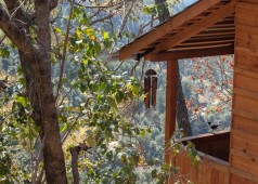 luxurious resort in shimla, shoghi