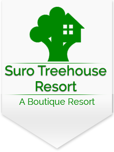 Luxury Resort in Shimla  | Suro Treehouse Resort